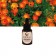 Aceite Esencial puro Calendula 30ml